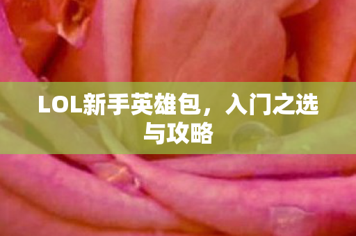 LOL新手英雄包图片