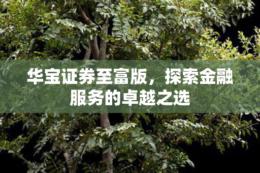 探索金融服务的卓越之选图片