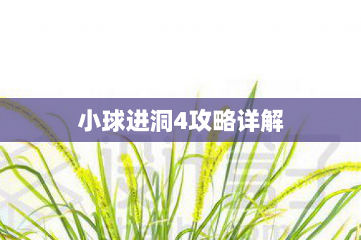 小球进洞4攻略详解图片