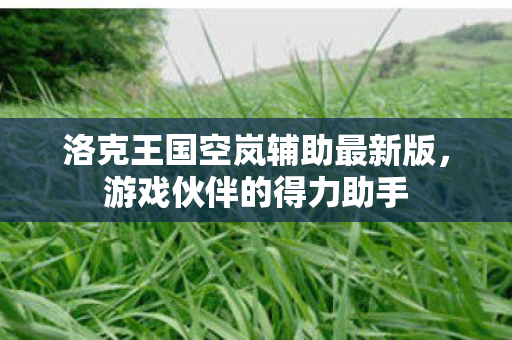 洛克王国空岚辅助最新版图片