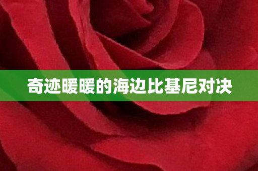 奇迹暖暖的海边比基尼对决图片