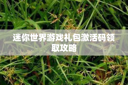 迷你世界游戏礼包激活码领取攻略图片
