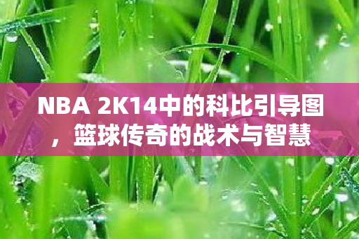 NBA 2K14中的科比引导图图片