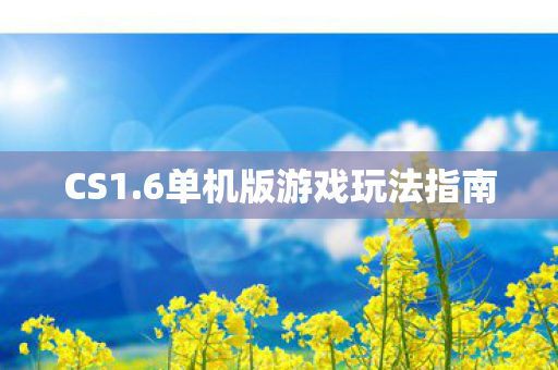 6单机版游戏玩法指南图片