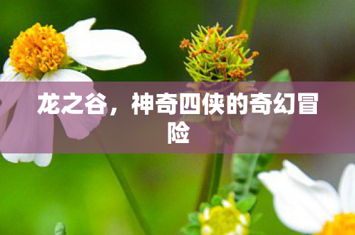神奇四侠的奇幻冒险图片