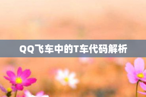 QQ飞车中的T车代码解析图片