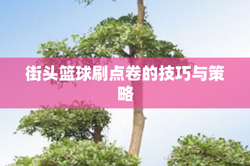 街头篮球刷点卷的技巧与策略图片