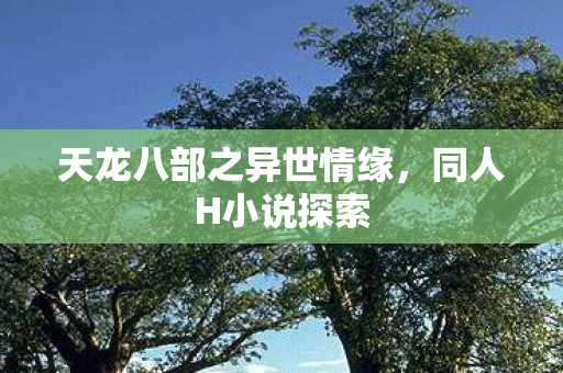 天龙八部之异世情缘图片