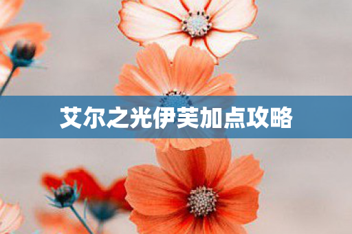 艾尔之光伊芙加点攻略图片