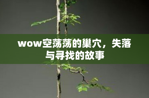 wow空荡荡的巢穴图片