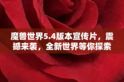 全新世界等你探索图片