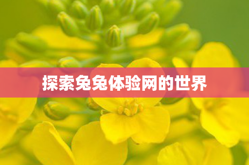 探索兔兔体验网的世界图片