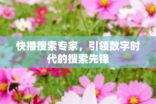引领数字时代的搜索先锋图片