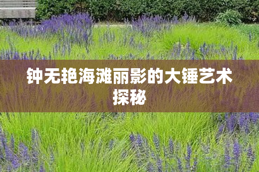 钟无艳海滩丽影的大锤艺术探秘图片