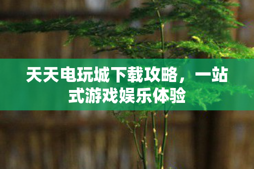天天电玩城下载攻略图片
