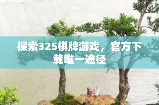 探索325棋牌游戏图片