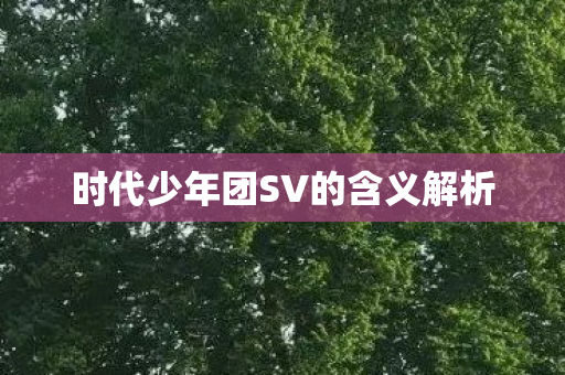 时代少年团SV的含义解析图片