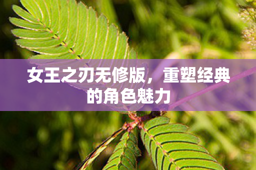 重塑经典的角色魅力图片