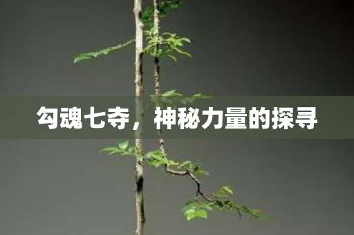 神秘力量的探寻图片