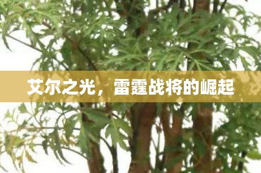 雷霆战将的崛起图片
