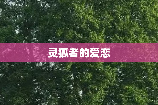 灵狐者的爱恋图片