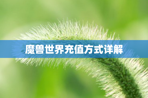 魔兽世界充值方式详解图片