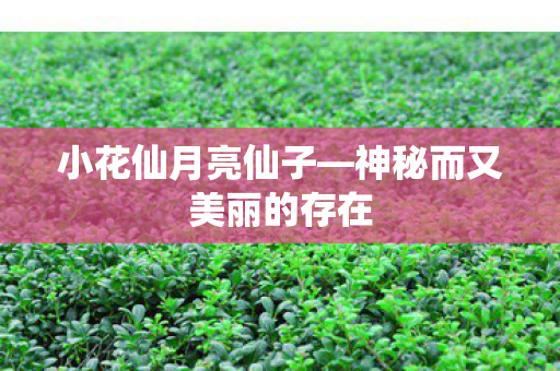 神秘而又美丽的存在图片