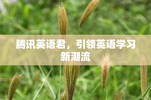 引领英语学习新潮流图片