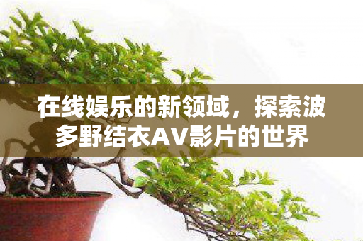 探索波多野结衣AV影片的世界图片