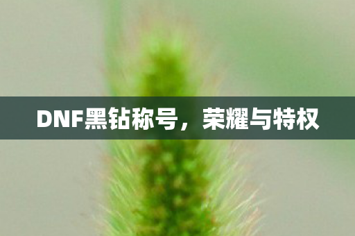 DNF黑钻称号图片