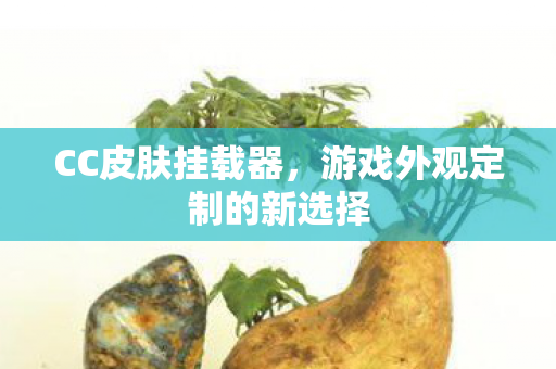 游戏外观定制的新选择图片