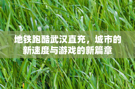 城市的新速度与游戏的新篇章图片