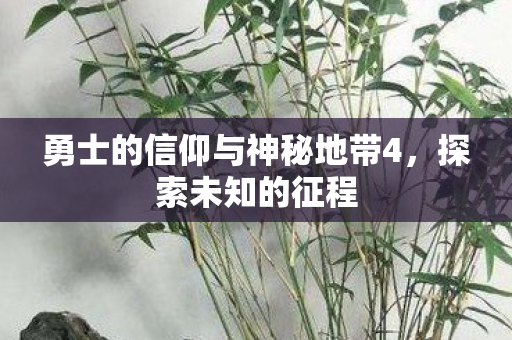 勇士的信仰与神秘地带4图片