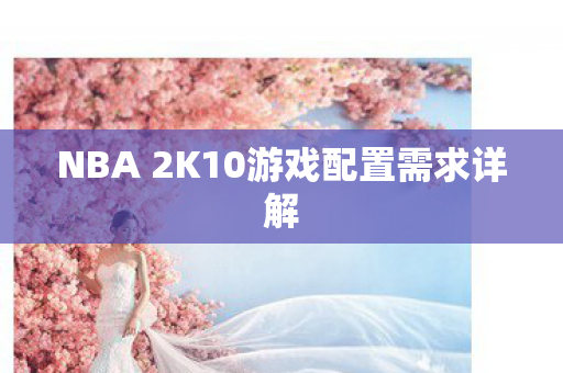 NBA 2K10游戏配置需求详解图片