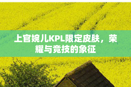 上官婉儿KPL限定皮肤图片