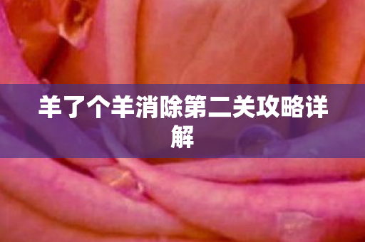 羊了个羊消除第二关攻略详解图片