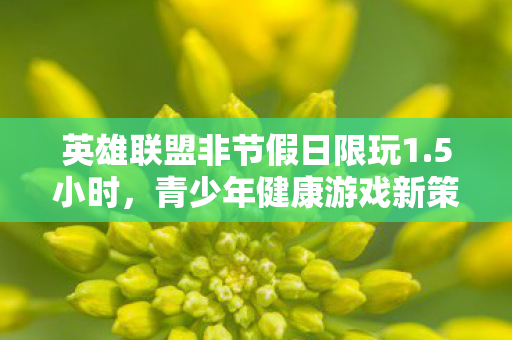 英雄联盟非节假日限玩1图片