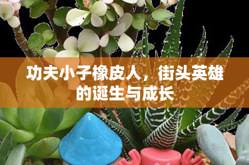 街头英雄的诞生与成长图片