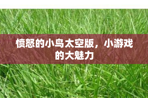 愤怒的小鸟太空版图片