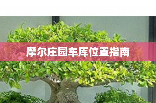 摩尔庄园车库位置指南图片