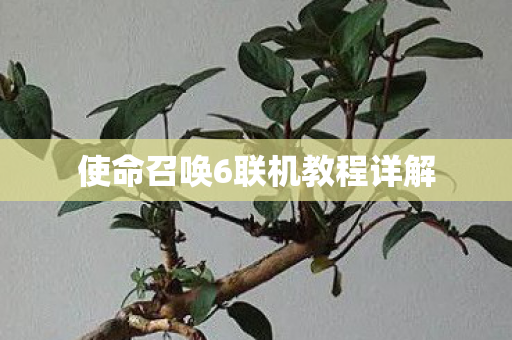 使命召唤6联机教程详解图片