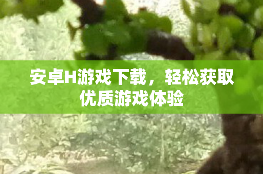 轻松获取优质游戏体验图片