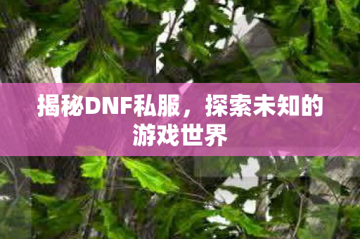 探索未知的游戏世界图片