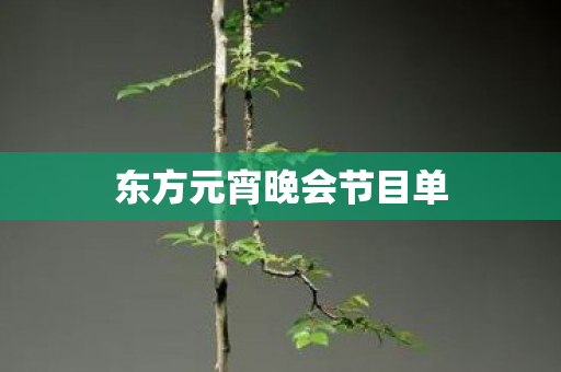 东方元宵晚会节目单图片