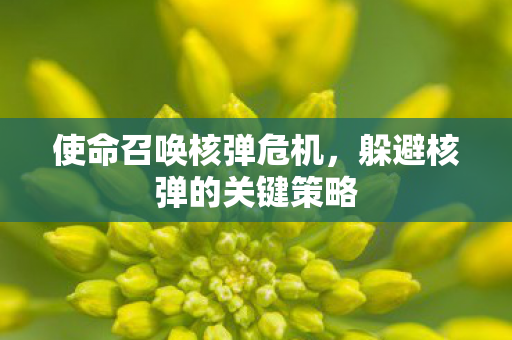 躲避核弹的关键策略图片
