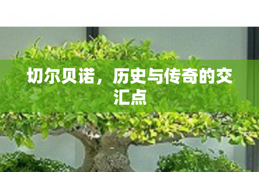 历史与传奇的交汇点图片