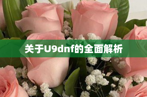 关于U9dnf的全面解析图片