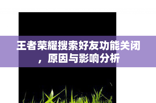 王者荣耀搜索好友功能关闭图片