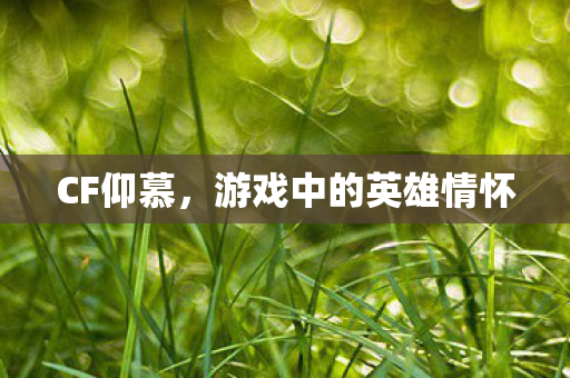 游戏中的英雄情怀图片
