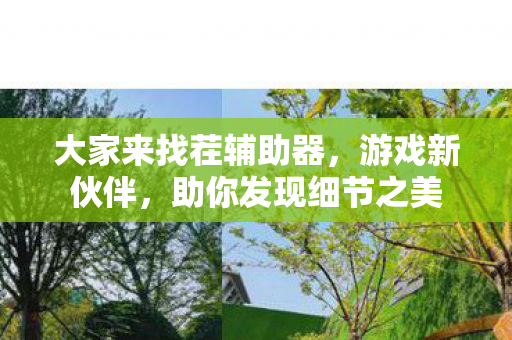 大家来找茬辅助器图片